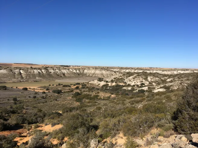 Arroyo cedron