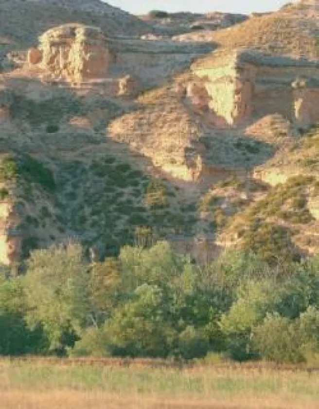 foto_henares.jpg