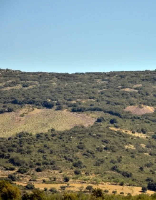 ricomalillo.jpg