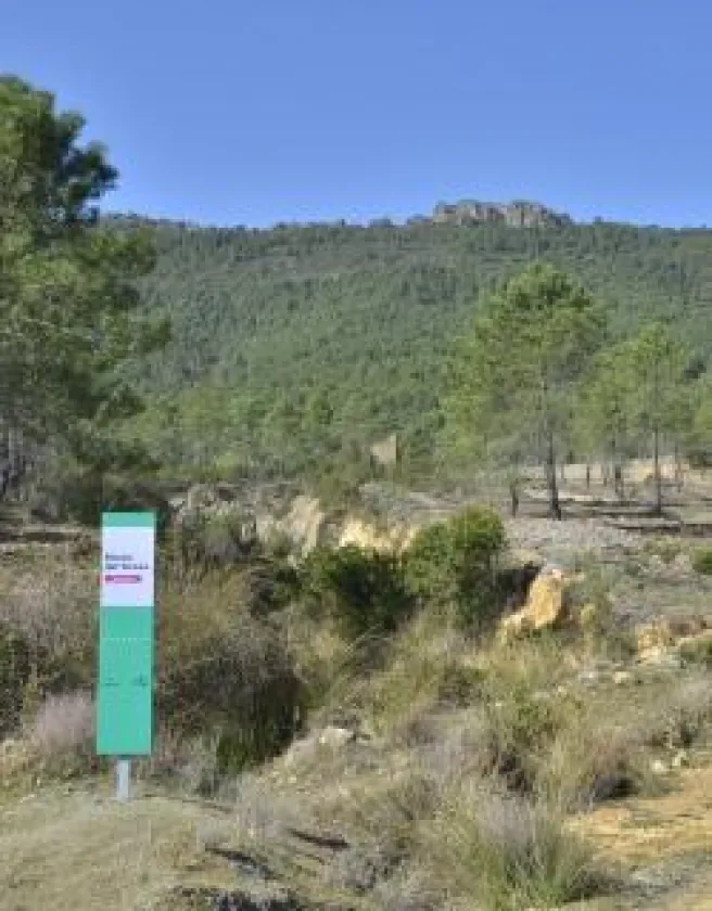 torozo.jpg