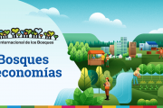 dia de los bosques. Banner