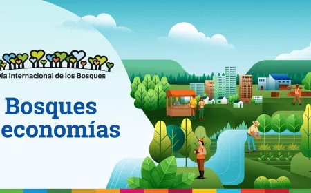 dia de los bosques. Banner