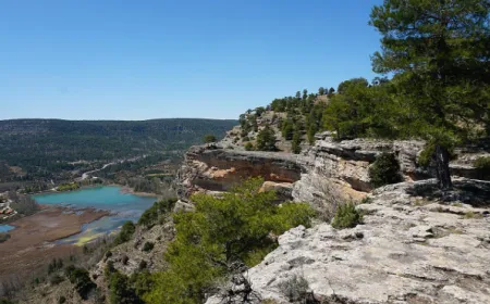 escaleron